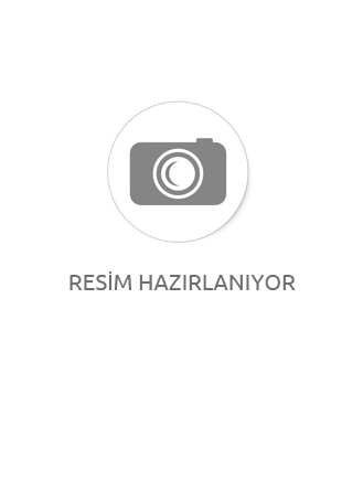 SİKA 175 FC Poliüretan Mastik GRİ RENK 